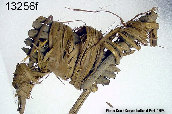Grand Canyon Artifact - Split-Twig Figurine