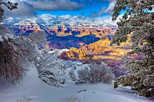 Beautifully lighted Grand Canyon with snowy trees in foreground
