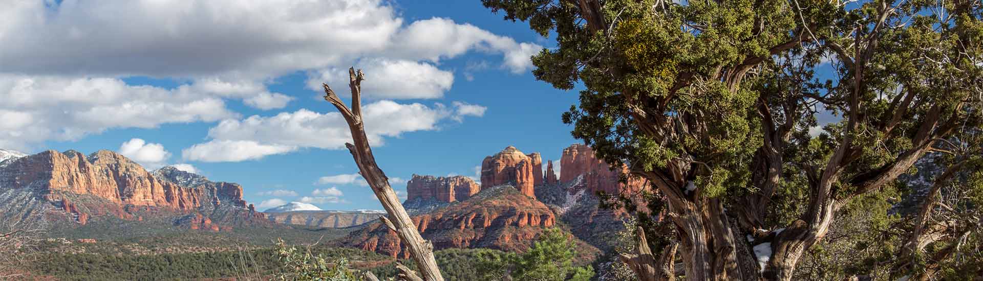 View of Sedona Cathedral Rock through mesquite tree from Upper Red Rock Loop road