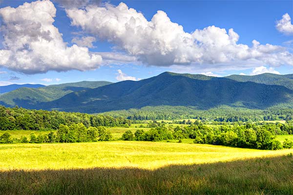 Beautiful summer view of Cades Cove Valley in Great Smoky Mountains National Park