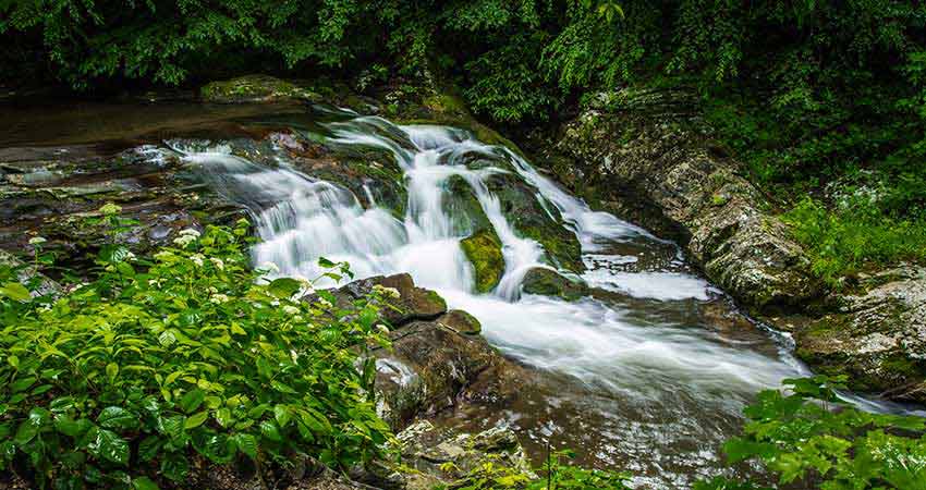 Roadside waterfall along Little River Road, GSMNP, Pink Jeep Valley and Views Tour