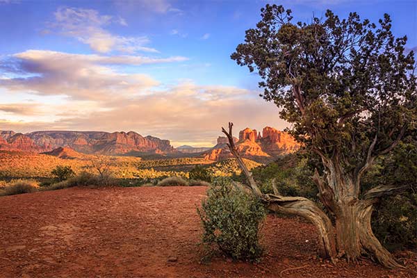 Romantic views of Twin Buttes, Schnebly Hill, Courthouse Butte and Cathedral Rock during sunset from Sedona's Lover's Knoll.