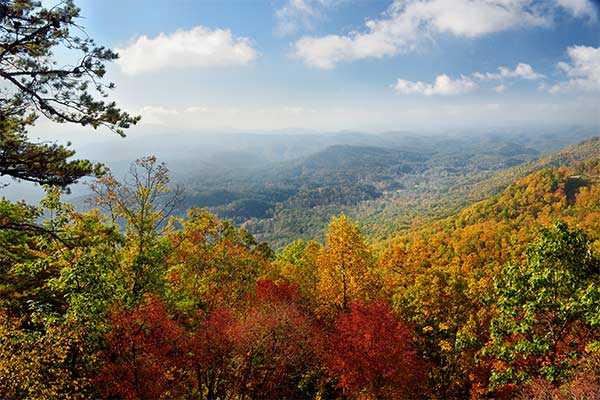 Early October morning in the Great Smoky Mountains National Park at the peak of autumn's colors.