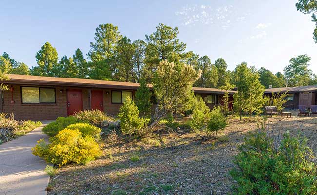 Exterior of Yavapai West Lodge surrounded by lush desert landscaping and pine and juniper trees on a summer day, Grand Canyon National Park.