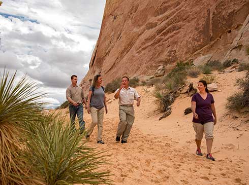 Pink Jeep guide and three guests walking sandy trail near the White Domes in Valley of Fire, Nevada