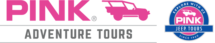 Pink Adventure Tours Logo