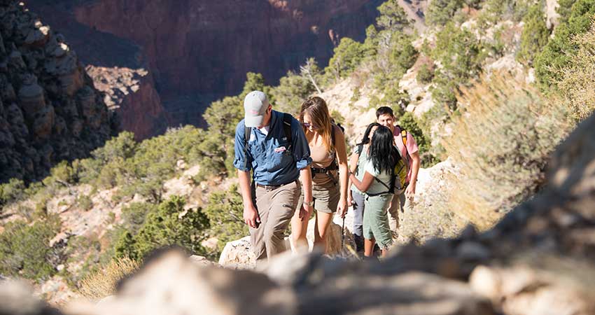 Pink Jeep tour guide leading clients along the Hermit Trail just below the Canyon's south rim.