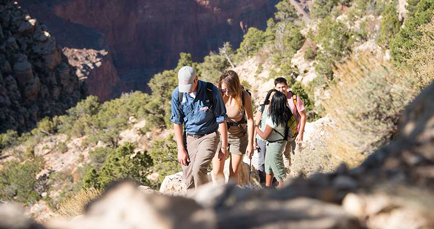 Pink Jeep tour guide leading clients along the Hermit Trail just below the Canyon's south rim.