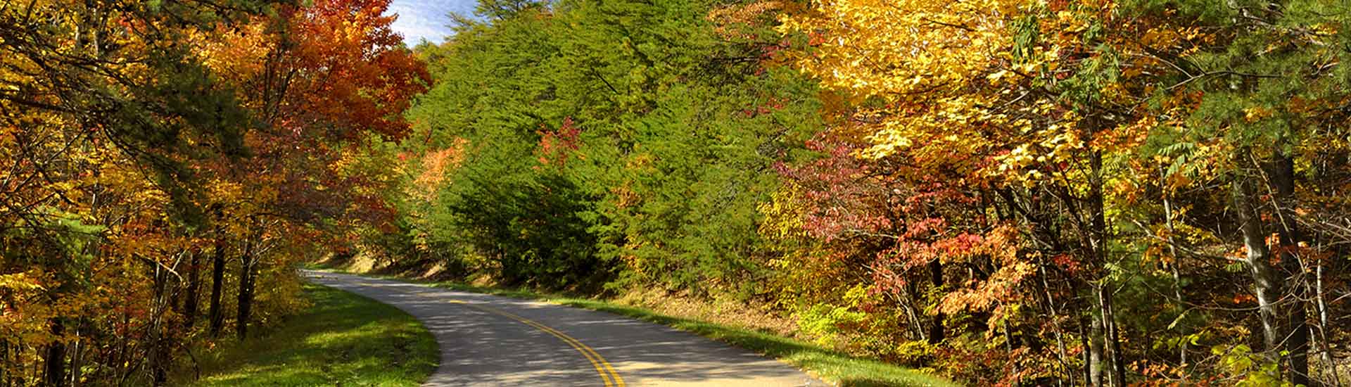 Beautiful view of colorful autumn trees along winding Foothills Parkway in Great Smoky Mountains National Park