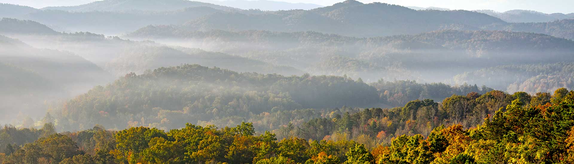 Fog draped autumn mountain ridges in Great Smoky Mountains National Park