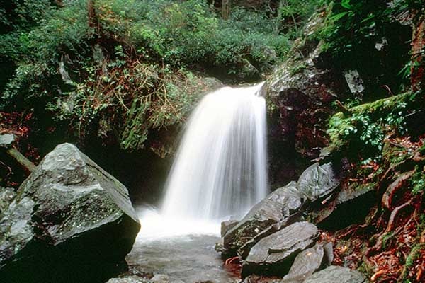 Grotto Waterfall on Roaring Fork Motor Trail.