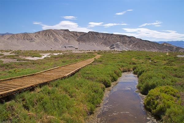 Salt Creek Interpretive Trail in Death Valley National Park