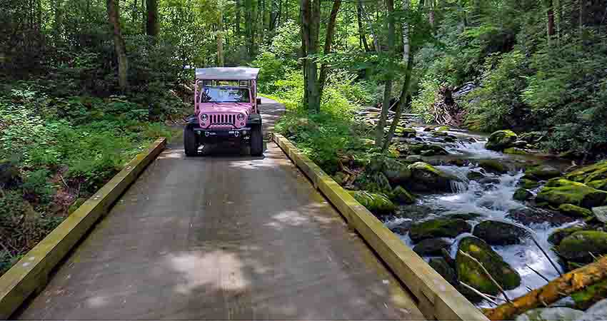 Pink® Jeep® traveling driving down the Roaring Fork Motor Nature Trail with flowing stream to right, GSMNP