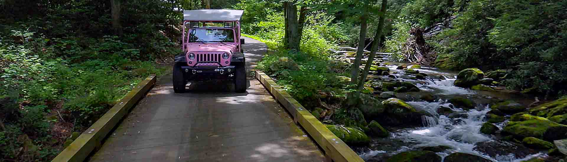 Pink® Jeep® traveling along the Roaring Fork Motor Nature Trail with flowing stream to right, GSMNP