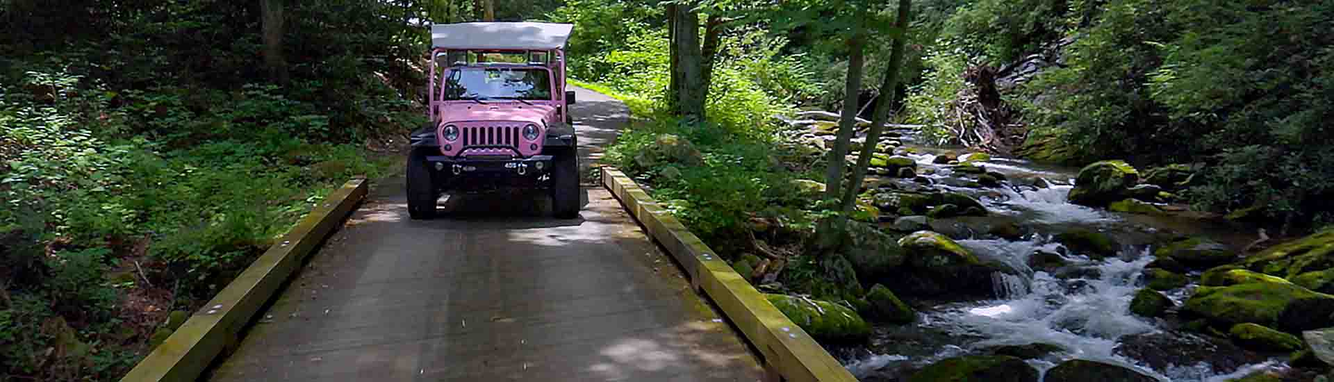 Must-do Smoky Mountains Activity Pigeon Forge | Pink Jeep Tours