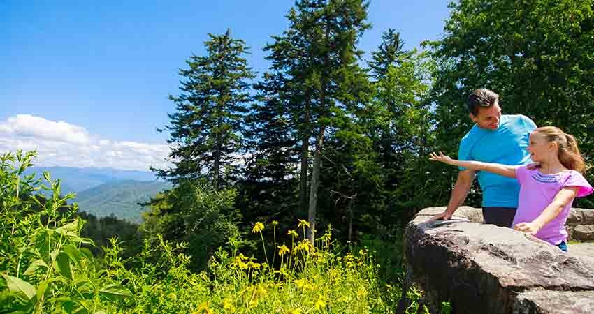 Father and daughter standing at Newfound Gap Overlook, pointing out at Smoky Mountains scenery