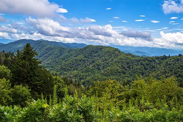 View of Smoky Mountains from Newfound Gap overlook during springtime.