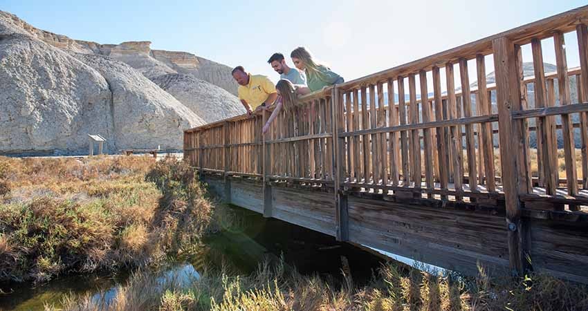 Pink Adventure Death Valley Tour guide and guests looking down at pupfish in stream from wooden bridge, Salt Creek Interpretive Trail