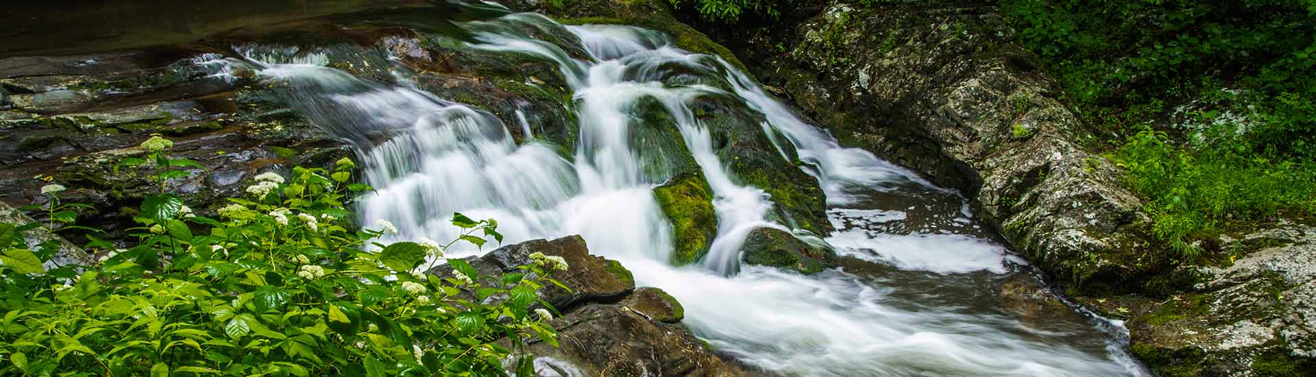 Rushing stream along Little River Scenic Road, Great Smoky Mountains National Park, TN