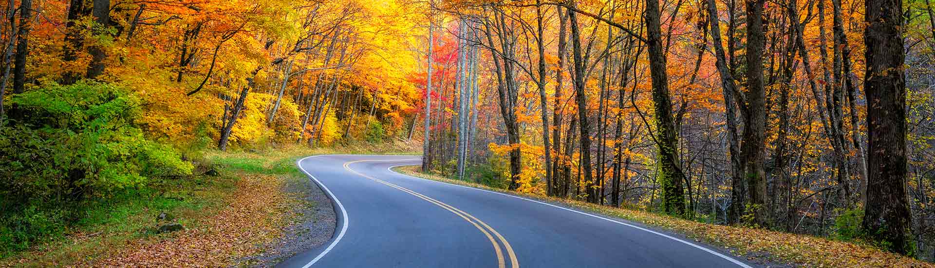 Winding road along US 441 flanked by fall foliage, Great Smoky Mountains National Park.