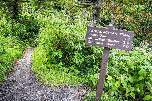 The Appalachian Trail approaching Clingmans Dome, the highest elevation of the trail within GSMNP.