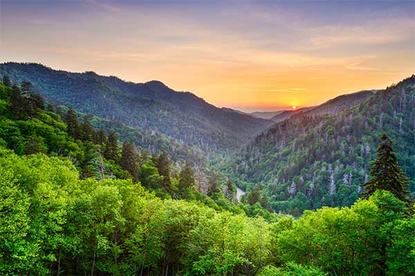 Golden hour at the top of Newfound Gap in Great Smoky Mountains National Park.