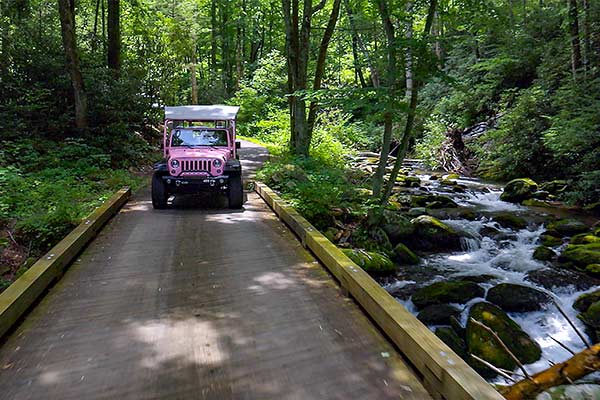 Pink Jeep® Wrangler® traveling alongside a flowing stream on the Roaring Fork Motor Nature Trail.