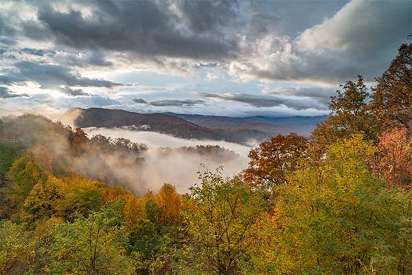 Beautiful foggy autumn day along the Foothills Parkway in Wears Valley, in the Great Smoky Mountain National Park.