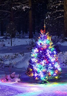Vertical close-up of a Christmas tree draped in dazzling, multicolored lights amid a snow covered forest in the Smoky Mountains.