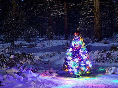 Brightly lit, multicolored Christmas tree standing in a snow covered forest, Smoky Mountains, Tennessee.