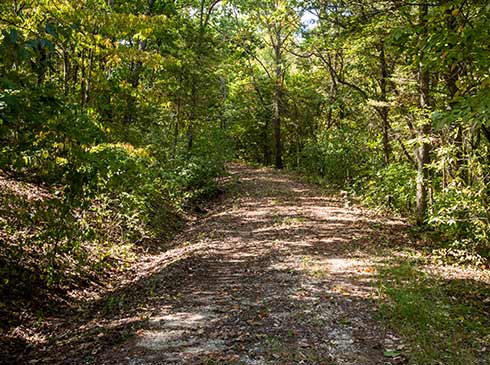 Forest road on Baird Mountain, part of the 4x4 adventure on Pink® Jeep® Tours Branson's new Lakes & Landmarks Tour.