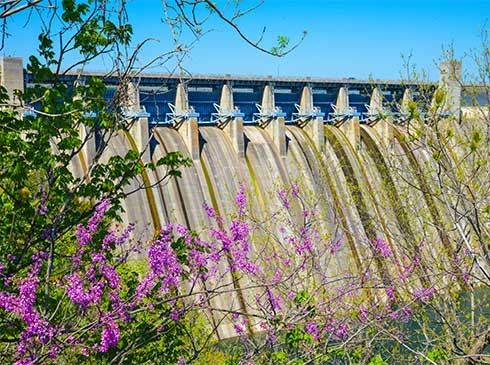 Dry spillways of Table Rock Dam, framed by purple wildflower bushes, in Branson, MO.