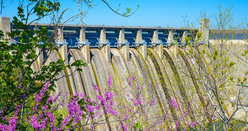 View of the eight spillways at Table Rock Dam, without water, framed by purple wildflower bushes in the foreground.