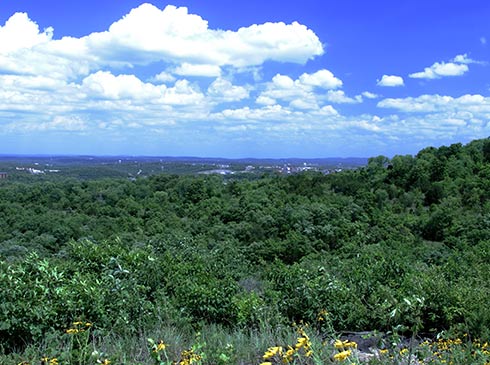 Vibrant green hillsides overlooking Branson, MO with puffy white clouds in a deep blue sky in summer.