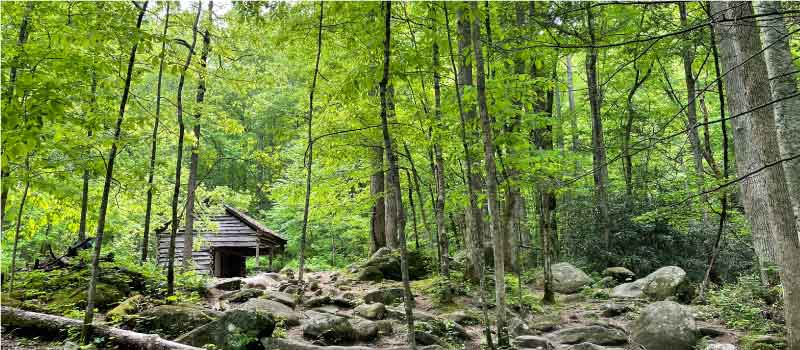 An old log cabin sits along a time-worn, stone path in the dense forest of the Roaring Fork Motor Nature Trail, Smoky Mountains, TN.