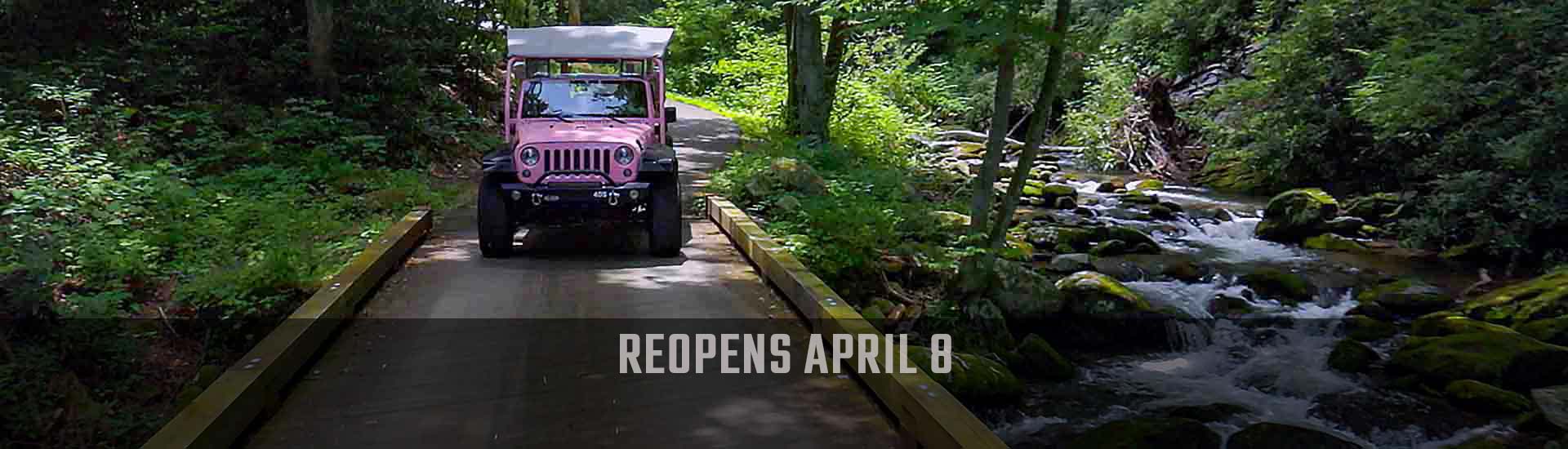 Pink Jeep Tour's driving towards you on the Roaring Fork Motor Nature Trail with rushing creek nearby. Reopens April 8 banner.