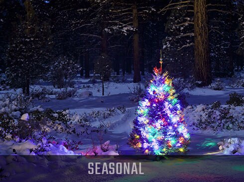 Brightly lit, multicolored Christmas tree standing in a snow covered forest, Smoky Mountains, Tennessee.