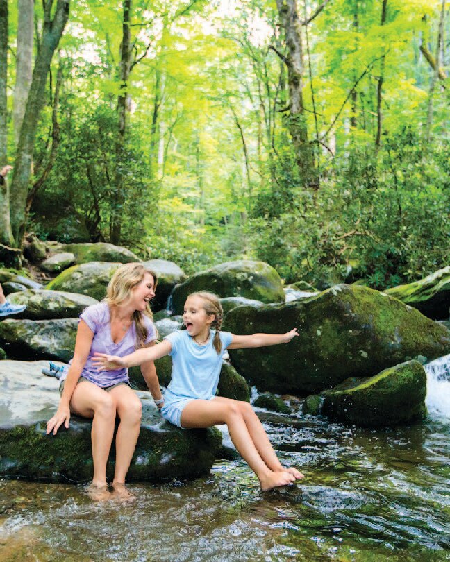 the smokies