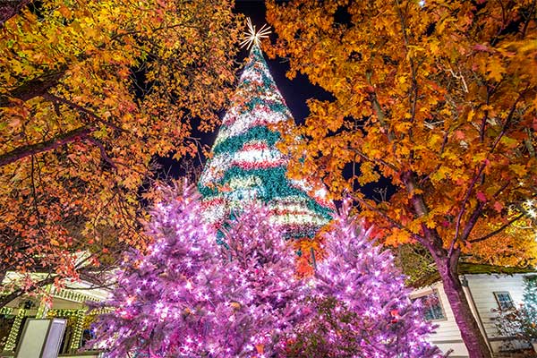 Upward view of a giant, brightly lit Ozark Mountain Christmas tree near Branson, Missouri.