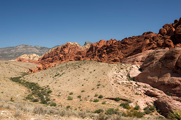 Calico Hills, Red Rock Canyon National Conservation Area, Nevada.