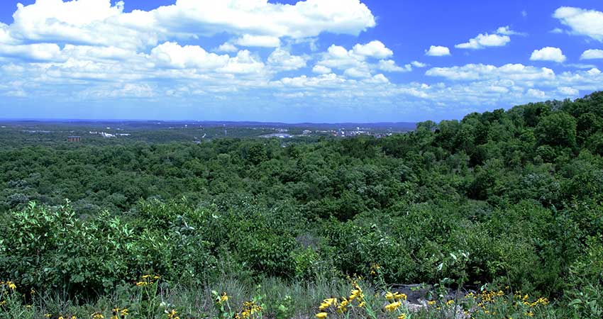 Vibrant green landscape with yellow wildflowers overlooking Branson, MO with a deep blue sky.