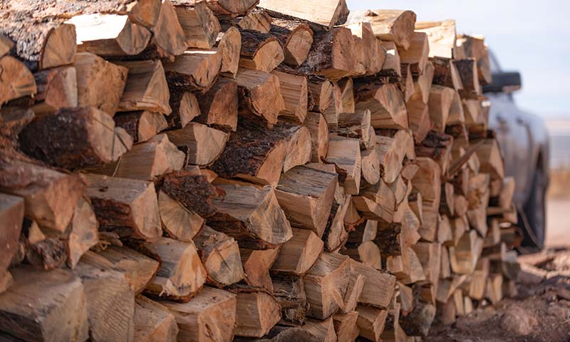 The National Forest Foundation's Wood for Life program connects thousands of cords of wood from local restoration projects to tribal communities.