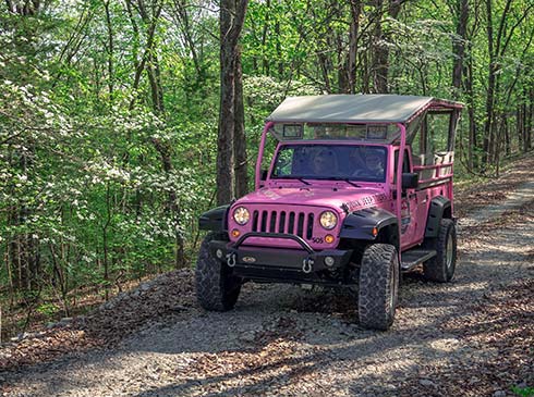 Pink Jeep Wrangler driving towards camera on a forest trail up Baird Mountain, Pink Jeep Tours Branson, MO.