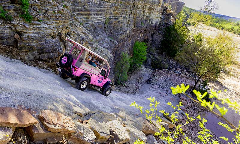 A Pink Jeep Wrangler descends an off-road, 4x4 trail along the cliff face of Baird Mountain framed by green trees and boulders.