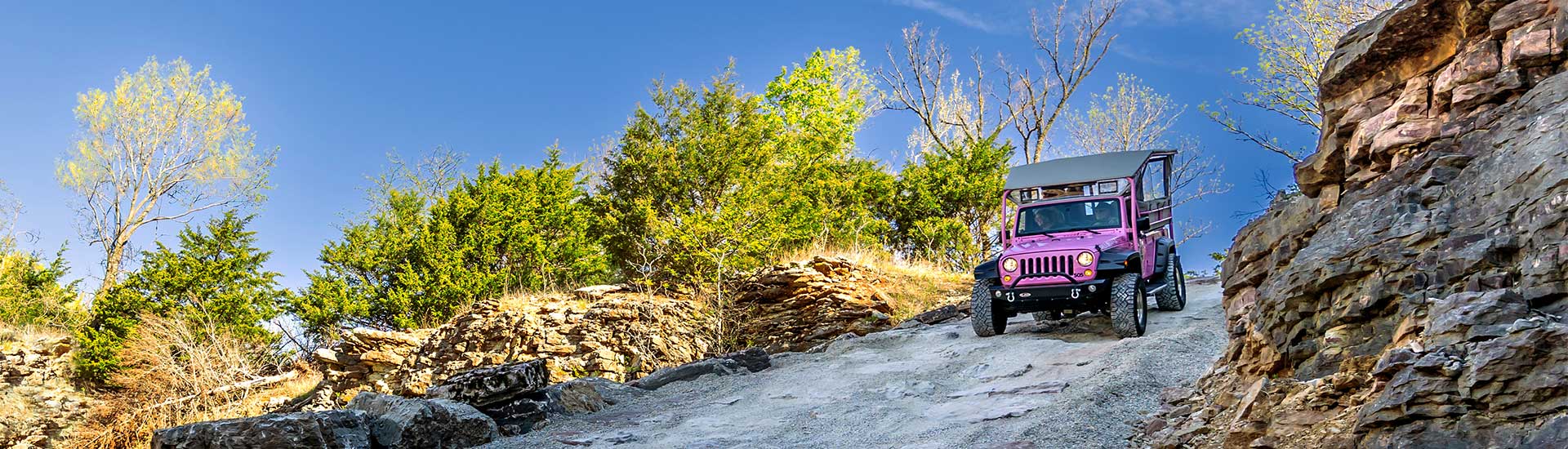 A Pink Jeep Wrangler descends a steep trail flanked by rock outcroppings and trees against a deep blue sky, Pink Jeep Tours.