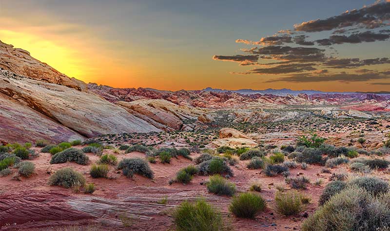 Natural Area Half-day Tours from Las Vegas