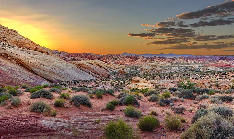 las vegas desert