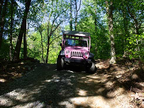 Smoky Mountains Pink Jeep Wrangler on private, off-road Bear Track trail surrounded by forest trees.