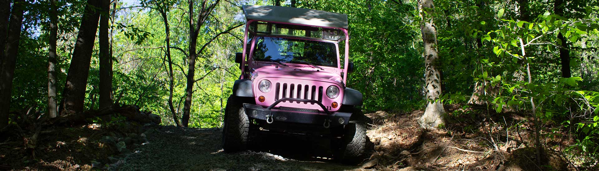 Front close-up of Pink Jeep Tours' Jeep Wrangler ascending the private, 4x4 Bear Track trail surrounded by forest.