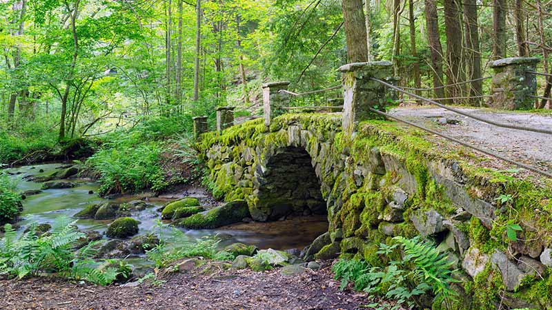 Moss covered Elkmont Troll Bridge, an antique stone bridge near the Little River in the Great Smoky Mountains National Park.